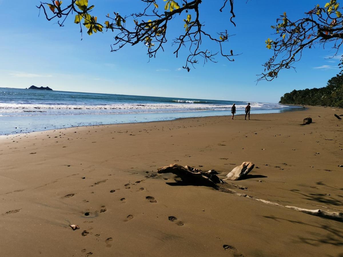 Elan At Ballena Beach Uvita Exteriör bild